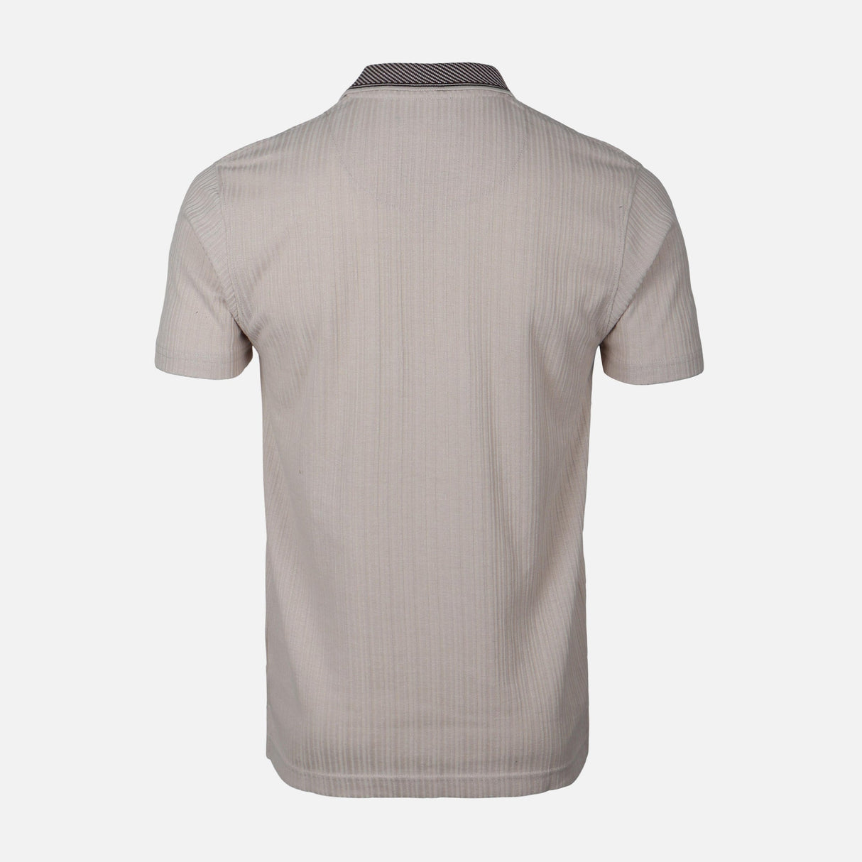 Men Polo Regular Fit