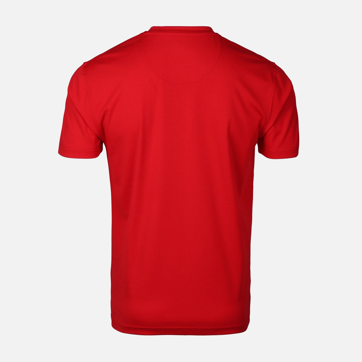 MEN T-SHIRT ROUND NECK REGULAR FIT