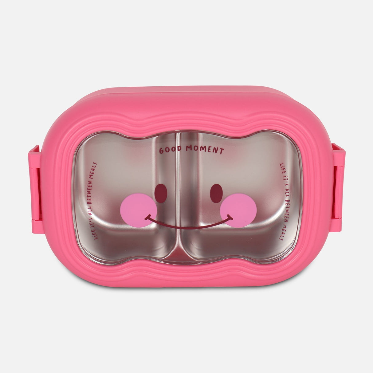 Stainless Lunch Box (22.5 x 14.5)