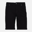 Men Short Woven Regular Fit