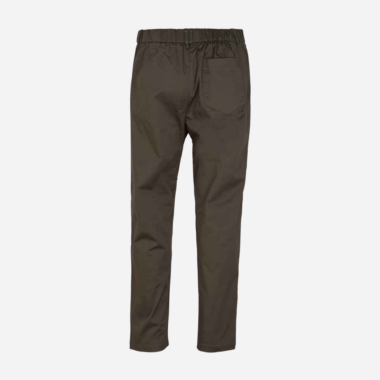 Men Chino Pants Woven Regular Fit