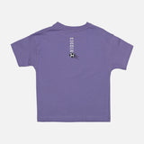 Boys 2 Pieces Set T-Shirt & Bermuda