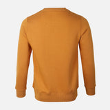 Men Basic Solid Fleece Pullover Round Neck
