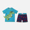Boys Short Sleeve Rashguard Swim Set