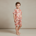 Boys 2 Pieces Set Shirt & Bermuda
