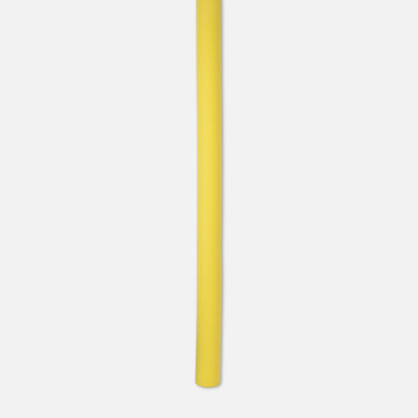 Swim Noodle With Net
