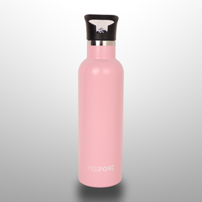Stainless Steel Water Bottle 750Ml