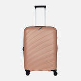 Trolley Case