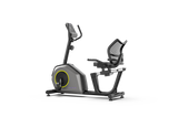 Recumbent Bike For Home Workout - Low Impact Fitness