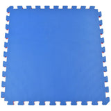 Indoor Mat 1 x 1 x 2.5 cm