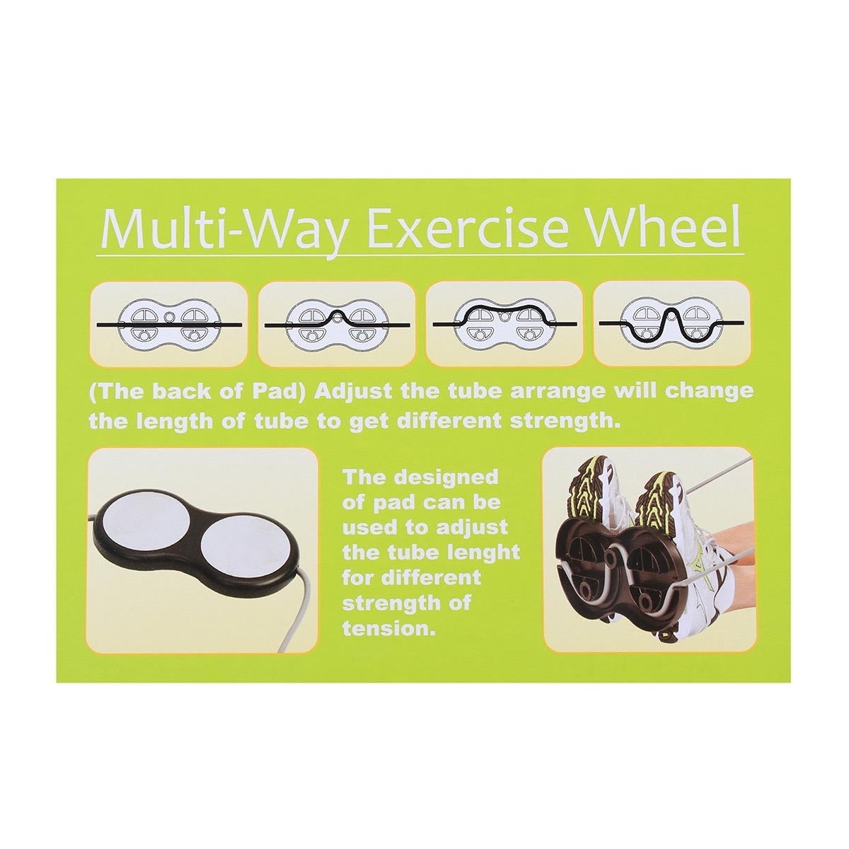 Multi Func Exercise Wheel