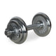 DUMBBELL AND PLATES