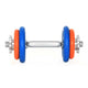 DUMBBELL AND PLATES