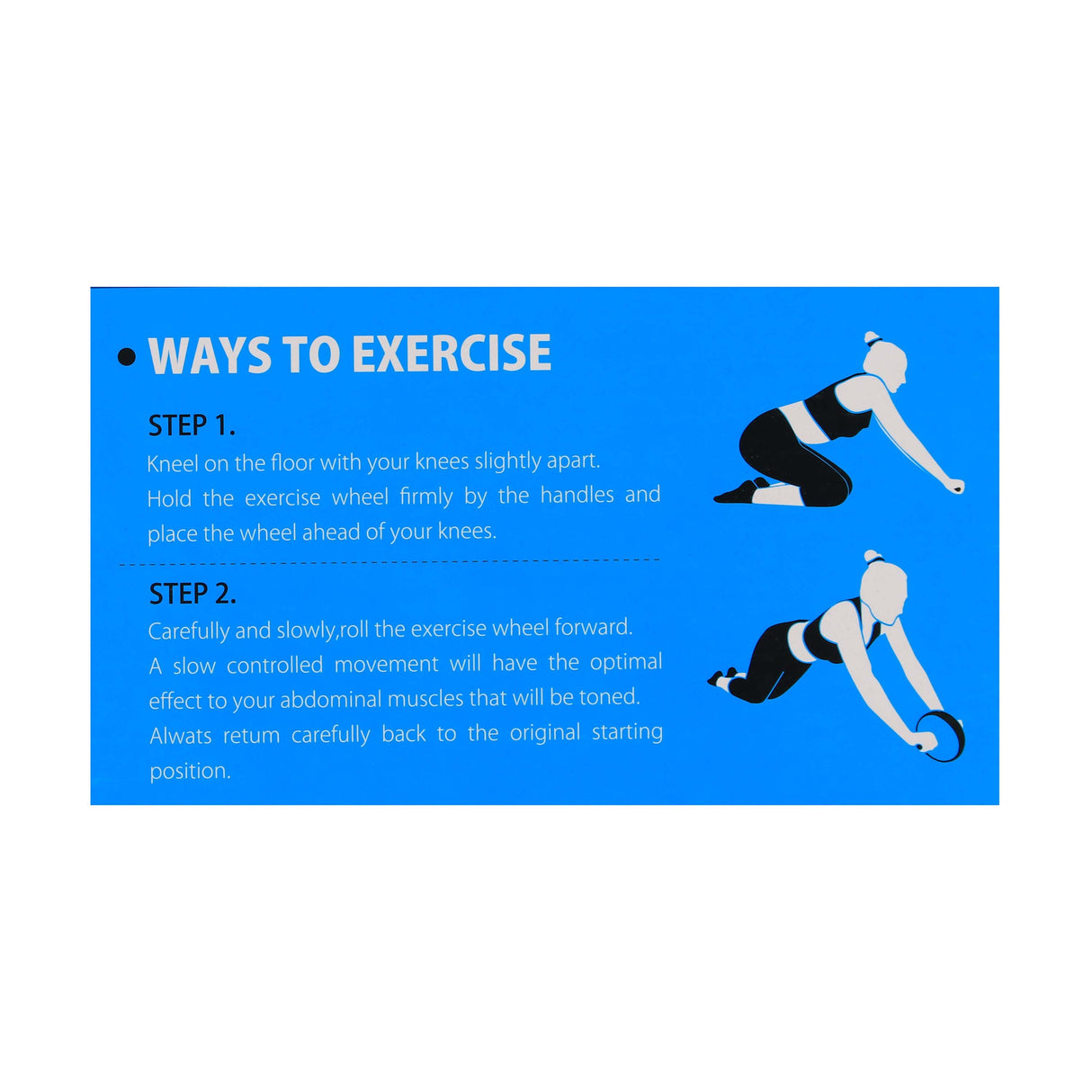 Exercise Wheel
