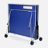 Indoor Blue Table Tennis
